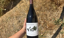 Domaine Céline Coté - Bourgogne Julia 2023 Magnum