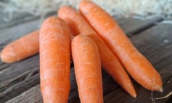 Les Jardins de Gérard - Carotte lavée Bio - 1 kg