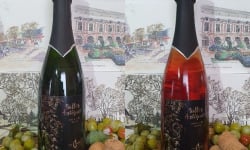 Cave Creuzet - Les Caves aux Caux - Découverte Vins pétillants "Bulles Antiques" Blanc et Rosé Lot de 6