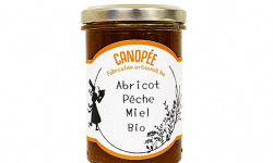 Biscuiterie des Vénètes - Canopée Abricot Pêche Miel Extra