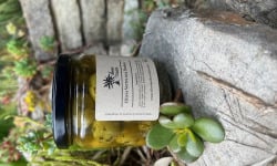 L'OLIVERAIE DU COUDON - Olives Vertes aux Herbes en pot  300gr