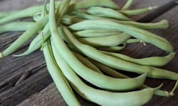 Les Jardins de Gérard - Haricot vert Bio - 250 g  STOCK LIMITE
