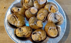 Kerhelix - Coquilles escargots tomates piment d'Espelette x12