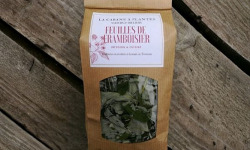 La Cabane à plantes - Infusion Feuilles de Framboisier