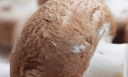 Mon Petit Producteur - Champignon De Paris Brun Bio - [vendu Par 350 g]