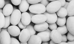 Mon Petit Producteur - Haricot Navy blanc bio [vendu Par 500 g]+