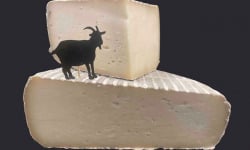 Ferme les Avoineries - Tomme de chèvre 500g