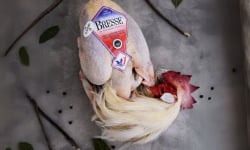 Volailles Morand - Lot de 2 poulets de Bresse AOP PAC aves tête et pattes
