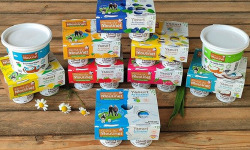 Ferme du Moulinet - PETITE DECOUVERTE : panaché 24 Yaourts + 4 Fromages blancs (2 lissé et 2 Campagnard)