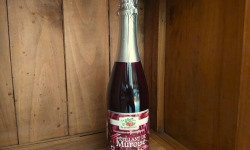 Le Domaine du Framboisier - Pétillant de Mûroise sans alcool 75cl