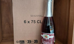 Le Domaine du Framboisier - Pétillant de Mûroise sans alcool (6x75cl)