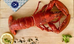 La Criée d'à Côté - Homard Bleu Cuit - 400g