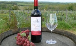 Château des Rochers - Vin rouge AOC Castillon-Côtes de Bordeaux 2016