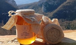 Rucher d'Esclarmonde - Miel Puèg Pireneus 250g