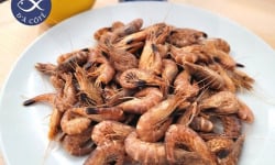 La Criée d'à Côté - Crevettes Grises Pays Cuites - à déguster entières - 500g