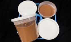 Ferme les Avoineries - Crèmes dessert chocolat x4