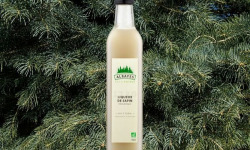 Abies Lagrimus - Liqueur de Sapin des Pyrénées Bio 18° - Albayes - 500 ml