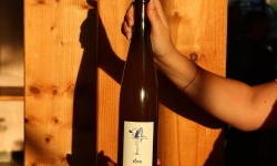 Pépin - Vin nature Blanc Pépin 75clx6