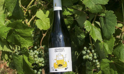 Domaine la Paganie - Vin Rouge nature - Démarrage en COT - 1 bouteille