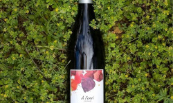 Domaine Childéric - Vin Rouge AOC Ventoux - Pas Faineants 2022