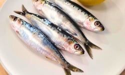 La Criée d'à Côté - Sardines fraîches - 500g
