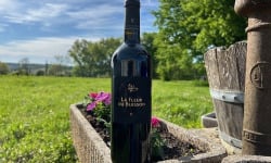 Domaine du Buisson - Vin rouge AOP Bordeaux supérieur - 2023 - élevé en barriques - 1x75cl
