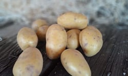 Les Jardins de Gérard - Pomme de terre Céphora Bio - 1 kg