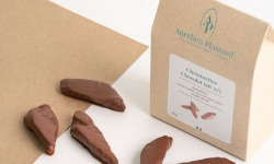 Aurélien Plassard Chocolatier - Citronette lait 37%