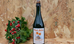 Le Pressoir du Mont - Jus de pomme pétillant