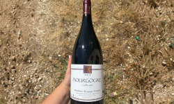 Domaine Céline Coté - Bourgogne Les Boutots 2018 Magnum