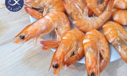 La Criée d'à Côté - Crevettes Roses 30/50 - 500g