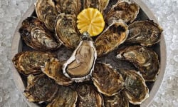 Aquaculture Chez Jaouen - Huîtres creuses fines du Morbihan N°2x60