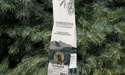 Abies Lagrimus - Tisane Eucalyptus FLORESSENCIA - 50g