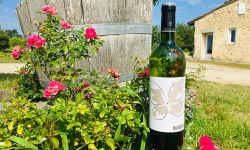 Domaine du Buisson - Vin blanc AOP Bordeaux - 2025 - 1x75cl