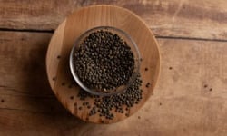 Sur Nos Terres - Lentilles vertes bio - 800g