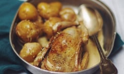 Le Pigeon Barrois - [Précommande] 4 à 6 Pigeonneaux non calibrés prêts à cuire