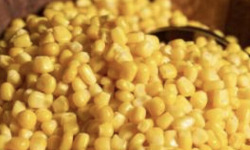 L'OLIVERAIE DU COUDON - 2 BOCAUX Maïs doux en grains BIO  230g