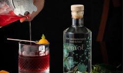 Alcools Vivant - Gin ENVOL Bio 50cl