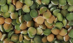 Mon Petit Producteur - Pois Cassé Bio [vendu Par 500 g]+