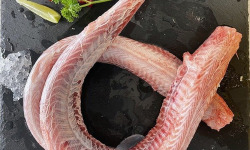Notre poisson - Saumonette de roussette en lot de 3kg