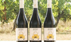 Domaine la Paganie - Vin rouge nature – Démarrage en COT –  3 bouteilles