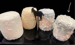 Ferme les Avoineries - Grand chèvre affiné x4