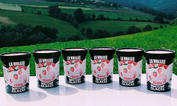 Les Glaces de la Vallée - Coffret Yaourt glacé à la fraise "la Vallée" 6x500ml