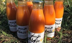 Délit de Gourmandise - Nectar d'Abricots Bio - 6x75cl