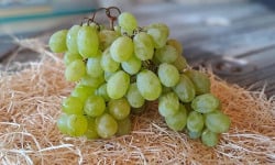 Les Jardins de Gérard - Raisin blanc Bio - 400 g