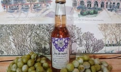 Cave Creuzet - Les Caves aux Caux - Pur jus de raisin pétillant 33cL - sans alcool - Lot de 12
