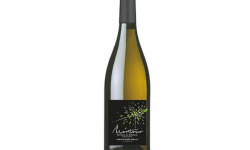 Domaine Bailly Jean-Pierre - Coteaux du Giennois Blanc "MONTOUR" 2022
