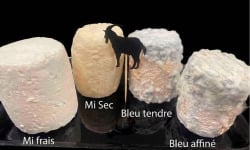 Ferme les Avoineries - Grands chèvres assortis x6