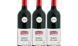Bonas Lisse Vignoble - Merlot Rouge 2016 - IGP Agenais x3