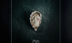 Huîtres Poget - Huîtres Spéciales l’Exquise n°2 x24